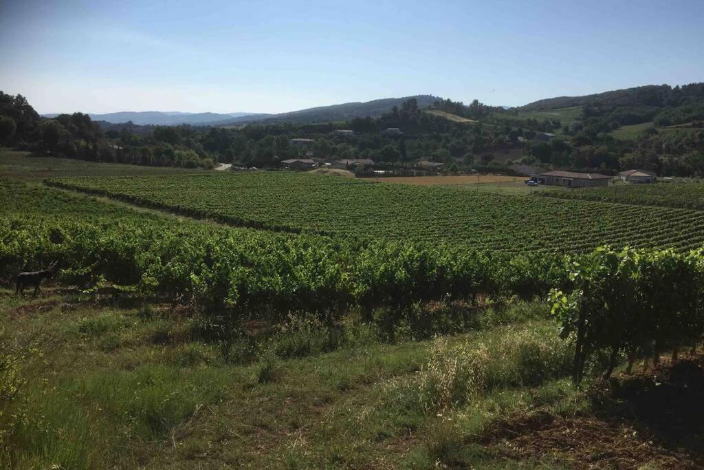 Peaceful 3 Bedroom 8 Person Ground Floor Apartment With Large Private Heated Pool La Digne-d'Amont 외부 사진