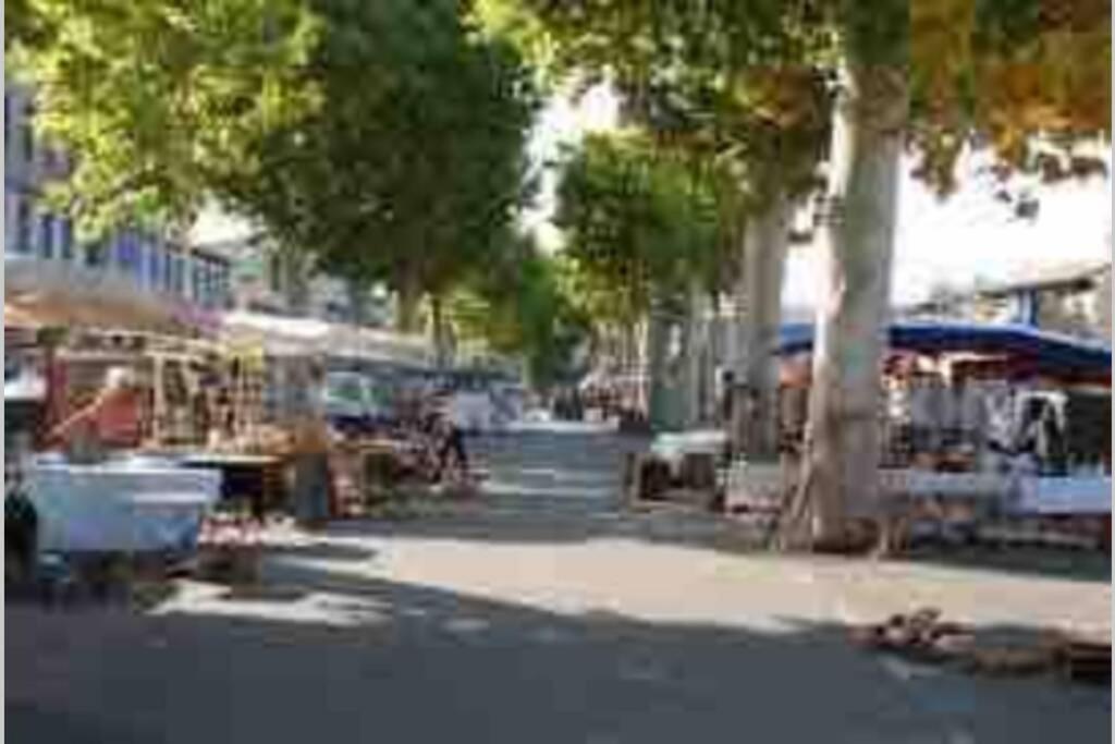 Peaceful 3 Bedroom 8 Person Ground Floor Apartment With Large Private Heated Pool La Digne-d'Amont 외부 사진